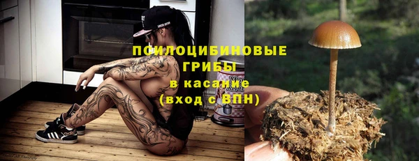 гидра Лихославль