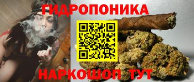молекула духа Гусев