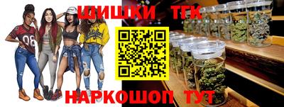 тгк Гай