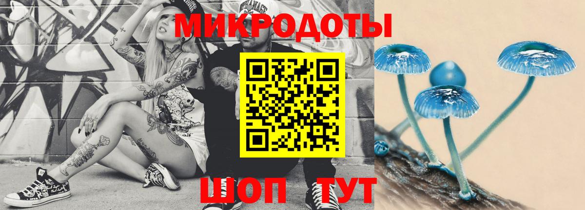 Псилоцибиновые грибы мицелий Дедовск