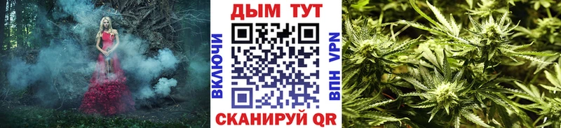 купить наркотики сайты Дедовск Марихуана OG Kush